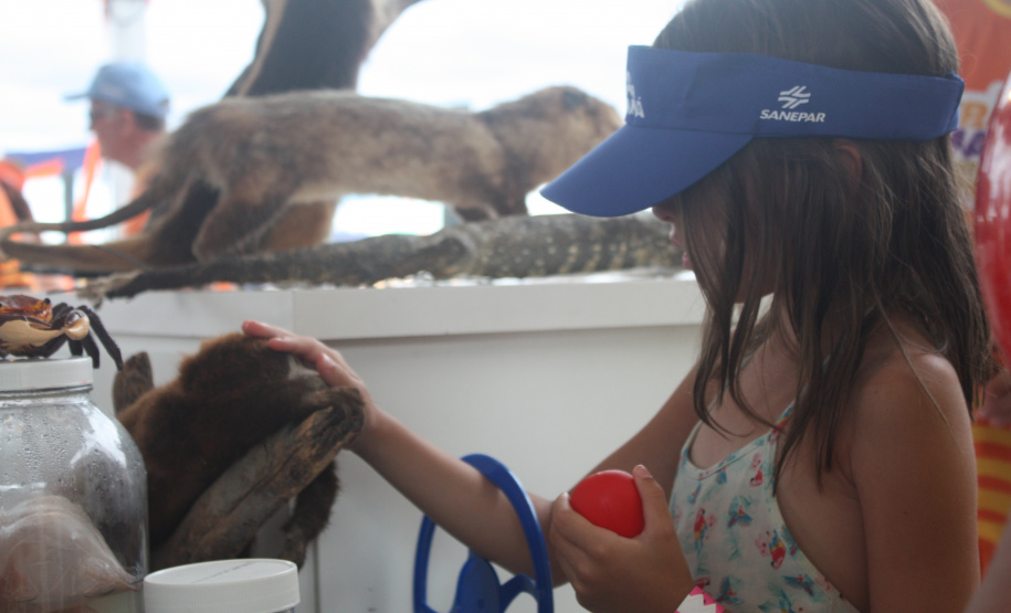 Universidades levam jogos, educação ambiental e espaço maker para os veranistas