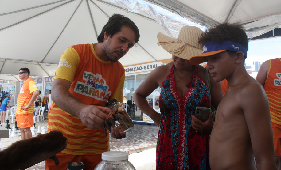 Universidades levam jogos, educação ambiental e espaço maker para os veranistas