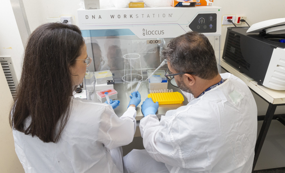 Parceria entre Tecpar e UFPR fortalece processo de produção de vacina antirrábica veterinária