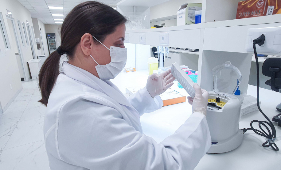 Programas de pós-graduação com nota máxima crescem quase 80% no Paraná