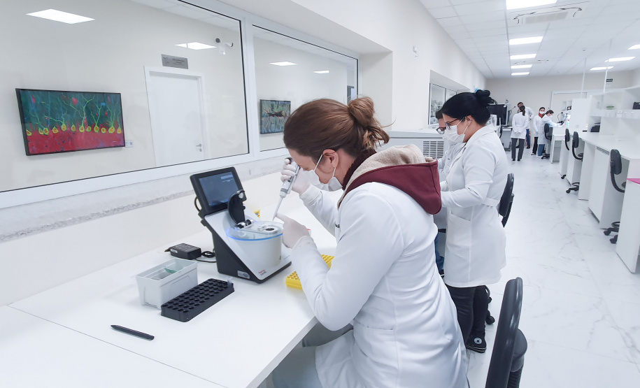 Programas de pós-graduação com nota máxima crescem quase 80% no Paraná