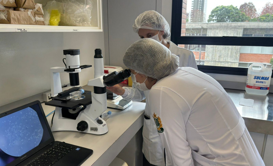 Programas de pós-graduação com nota máxima crescem quase 80% no Paraná