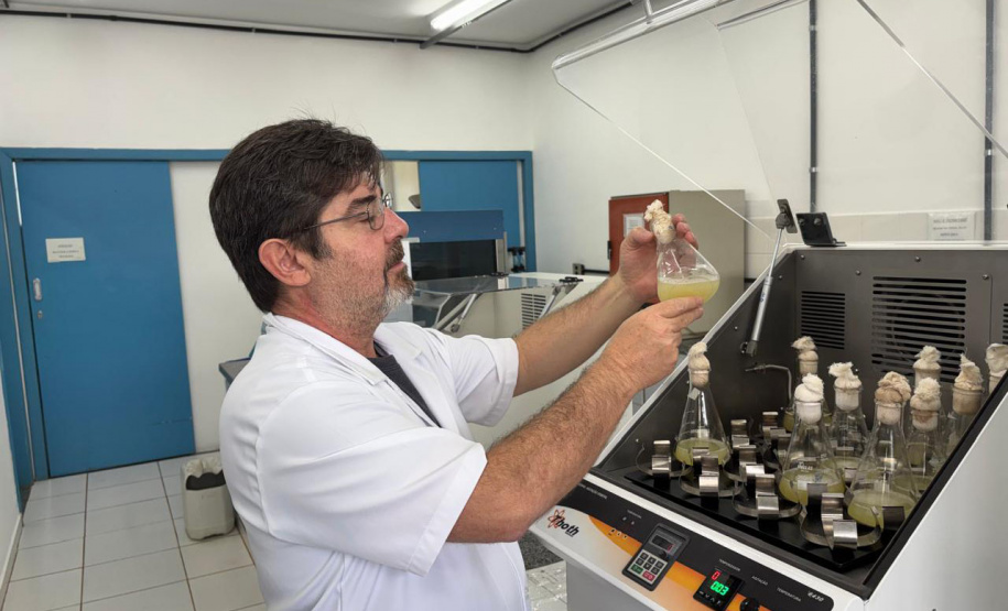 Programas de pós-graduação com nota máxima crescem quase 80% no Paraná