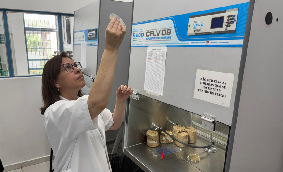 Programas de pós-graduação com nota máxima crescem quase 80% no Paraná