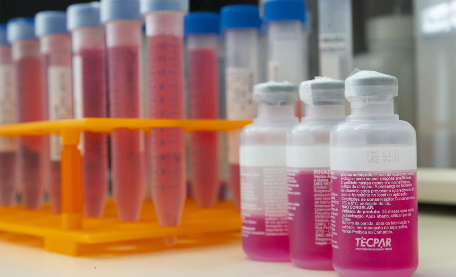 Parceria entre Tecpar e UFPR fortalece processo de produção de vacina antirrábica veterinária