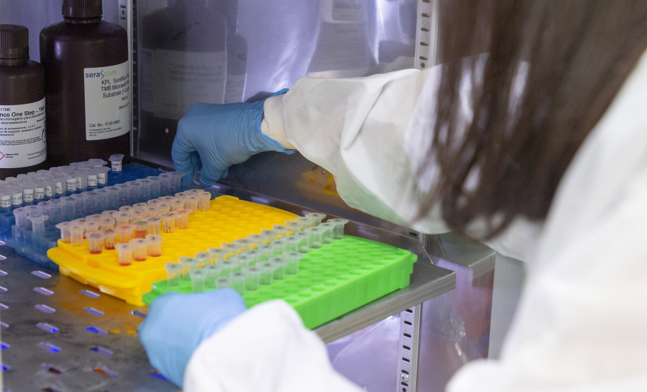 Parceria entre Tecpar e UFPR fortalece processo de produção de vacina antirrábica veterinária