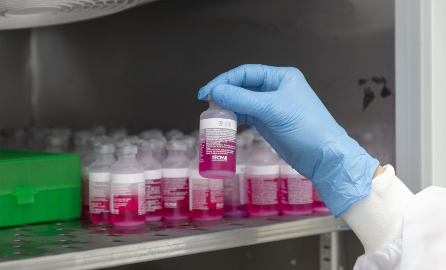 Parceria entre Tecpar e UFPR fortalece processo de produção de vacina antirrábica veterinária