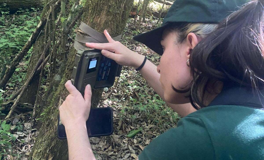 Pesquisa da Unicentro mapeia mamíferos silvestres em unidades de conservação