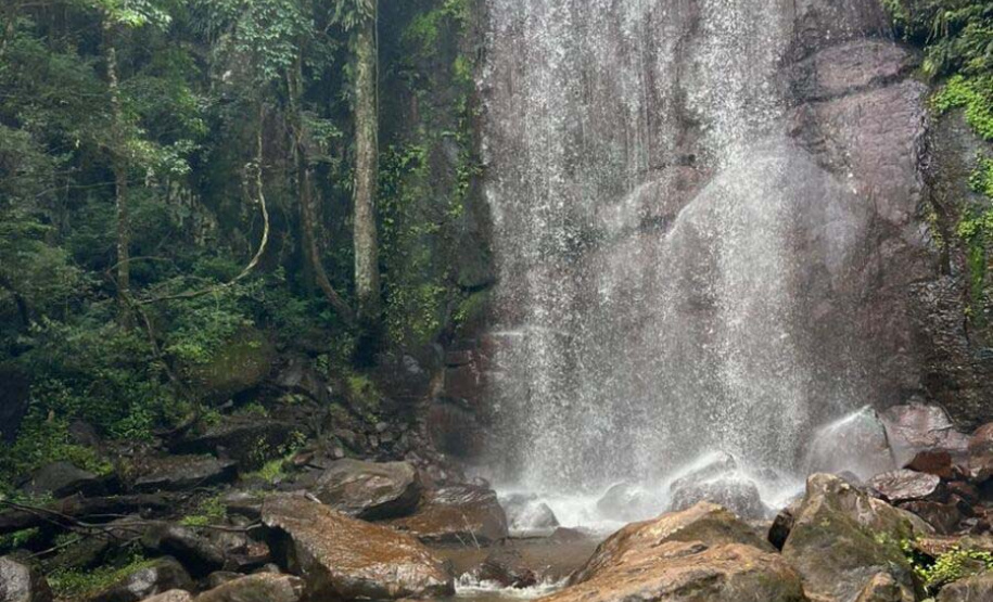 Pesquisa da Unicentro mapeia mamíferos silvestres em unidades de conservação