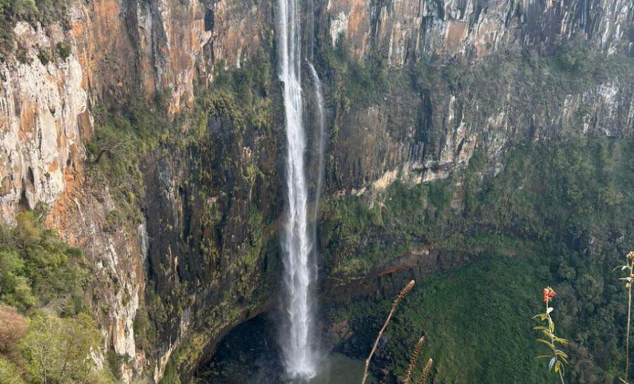 Pesquisa da Unicentro mapeia mamíferos silvestres em unidades de conservação