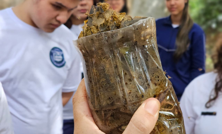 Projeto ambiental de Clube de Ciências de colégio cívico-militar ajuda rearborização de Rolândia