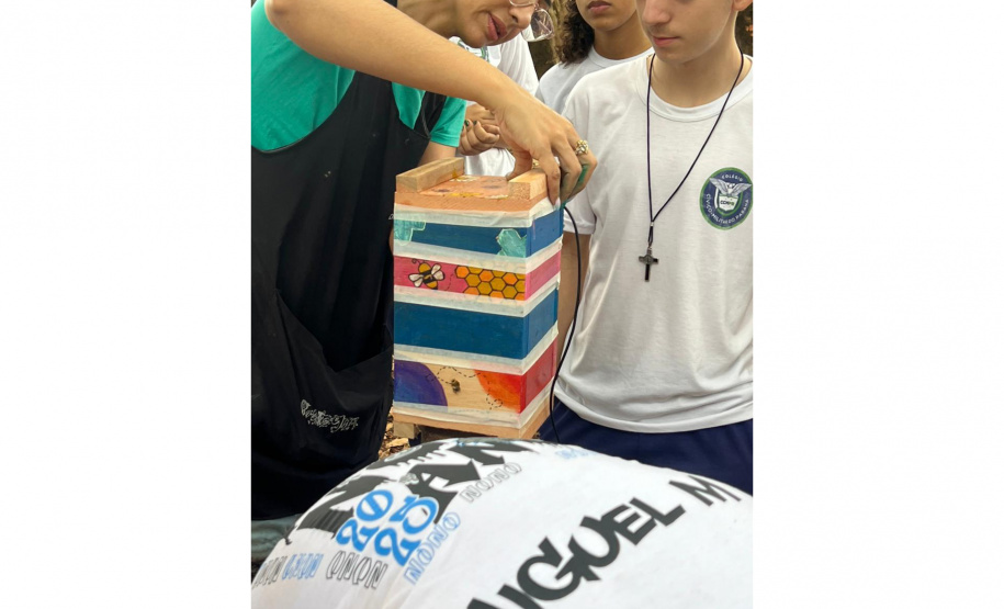 Projeto ambiental de Clube de Ciências de colégio cívico-militar ajuda rearborização de Rolândia