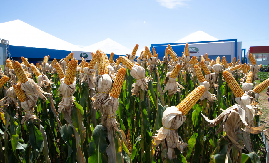 Com início no dia 9 e apoio do Estado, Show Rural deve levar 400 mil visitantes a Cascavel