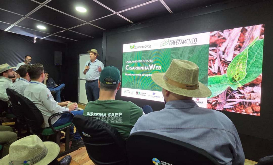 Lançada no Show Rural, plataforma monitora cigarrinha-do-milho nas lavouras do Paraná