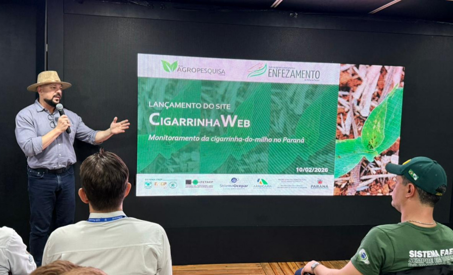 Lançada no Show Rural, plataforma monitora cigarrinha-do-milho nas lavouras do Paraná