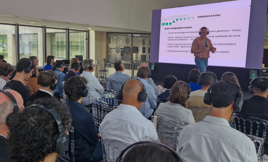 Novos programas do Estado impulsionam conexões e internacionalizacão da ciência