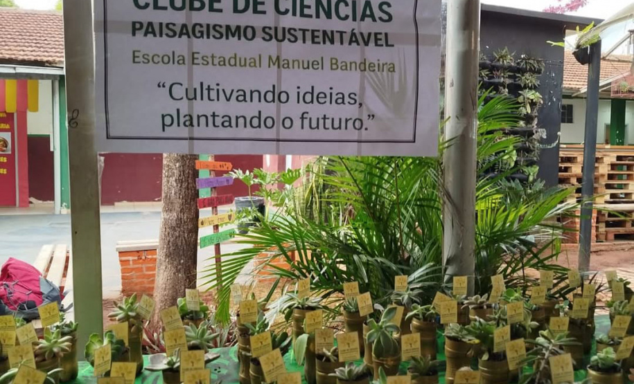 Alunos da rede estadual transformam ciência em soluções reais na Expo Umuarama