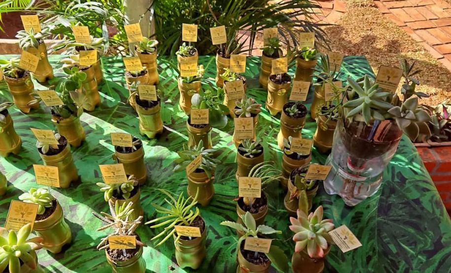 Alunos da rede estadual transformam ciência em soluções reais na Expo Umuarama