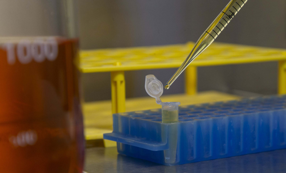 Novo fornecedor do SUS, Tecpar explica o caminho da vacina até o braço da população