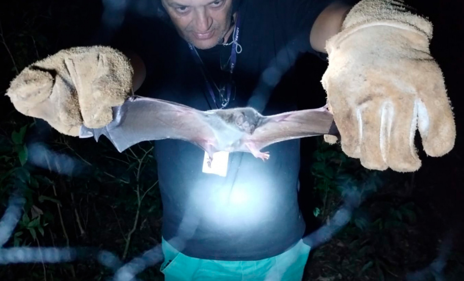 Adapar promove treinamento para controle de zoonoses em animais de produção