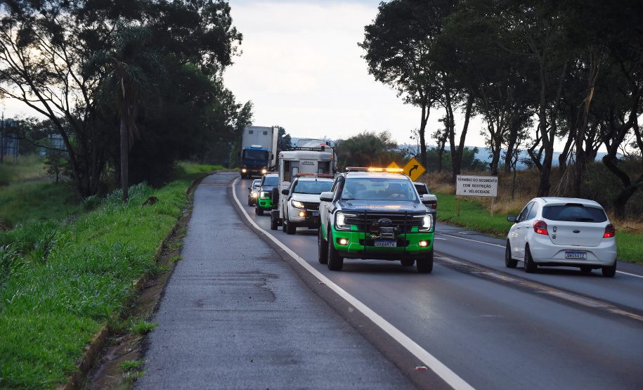 IAT resgata 29 cutias e 9 pacas de criadouro irregular em Cantagalo, no Centro-Sul