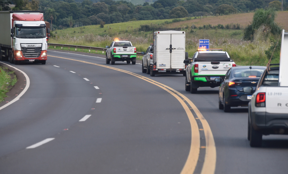IAT resgata 29 cutias e 9 pacas de criadouro irregular em Cantagalo, no Centro-Sul