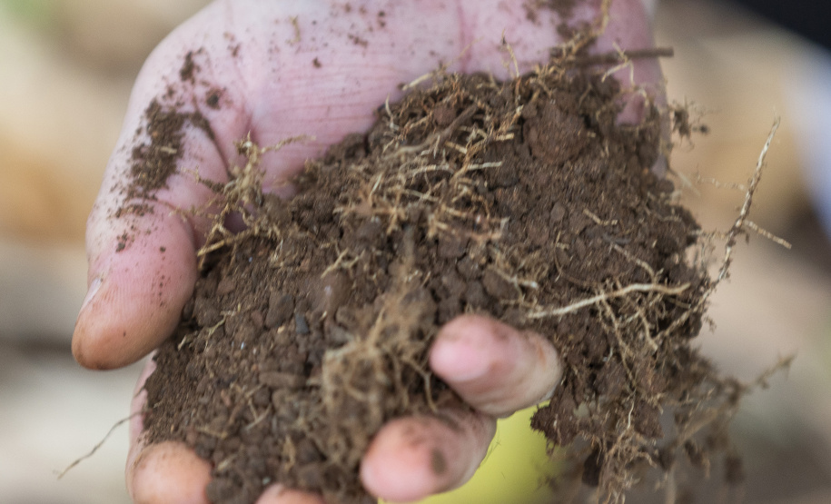 Tecpar inicia projeto inédito para estudar DNA do solo do Paraná