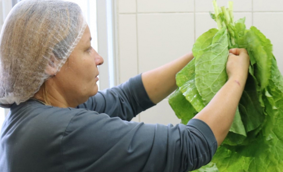 Paraná bate recorde de investimento em alimentos orgânicos nas escolas estaduais