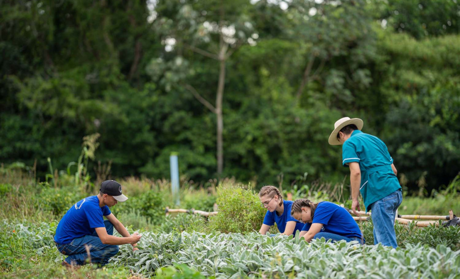Programa que aproxima colégios agrícolas de universidades vai receber R$ 3,4 milhões