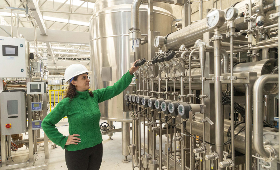 Tecpar inicia pesquisa para produção de insumos para diagnóstico da brucelose