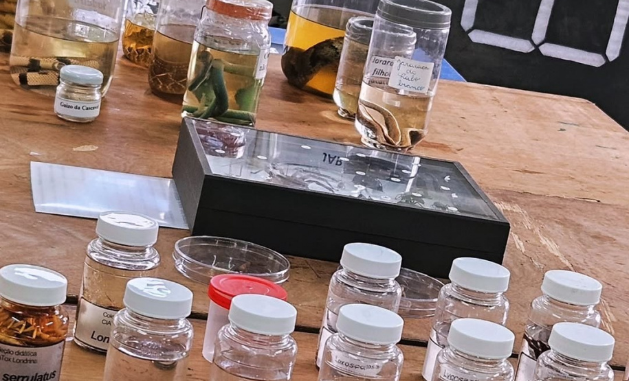 Universidades estaduais unem ensino e assistência para fortalecer toxicologia no Paraná