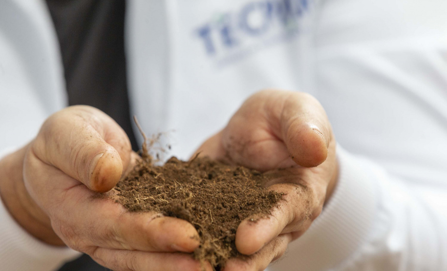 Tecpar amplia estratégicas para abordagem que integra saúde humana, animal e ambiental