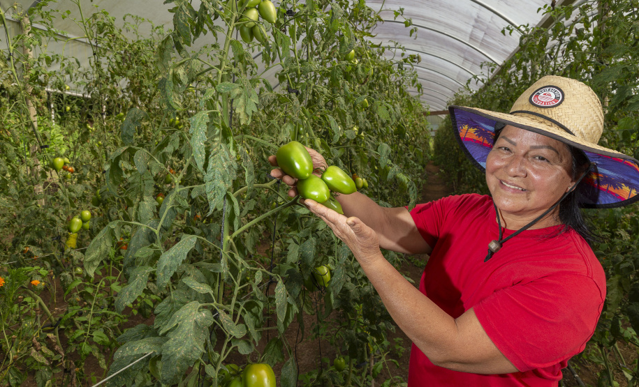 Universidades estaduais auxiliam agricultores familiares na certificação orgânica