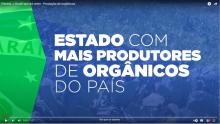 Líder nacional em alimentos orgânicos, Paraná investe para ampliar produção e consumo