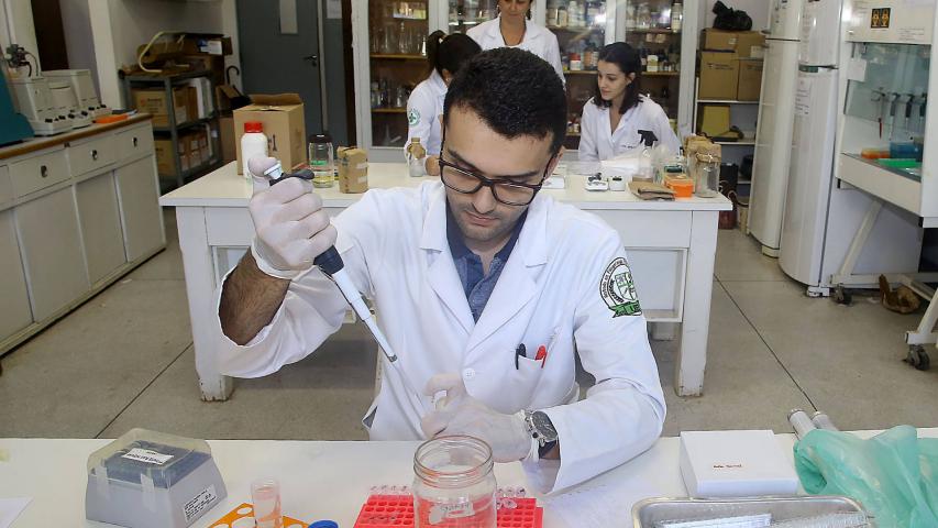 Programas de bolsas para pós-graduação e talentos seniores terão aporte de R$ 39 milhões