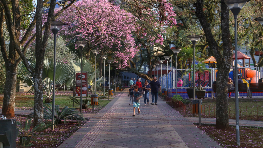 Com 18,2 mil entrevistas já realizadas, pesquisa do Ipardes vai a 127 cidades nesta semana