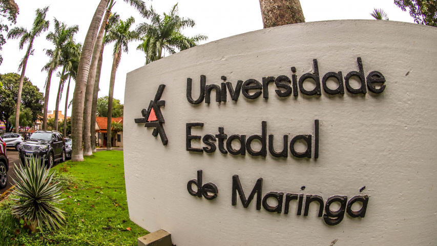 Unidade de Psicologia Aplicada da UEM atende 2,6 mil pessoas por ano