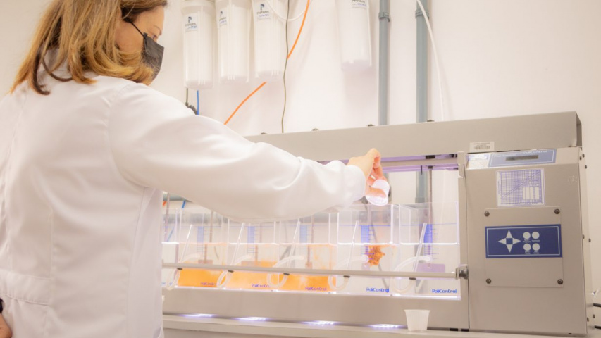 Universidades estaduais ampliam número de programas bem avaliados pela Capes