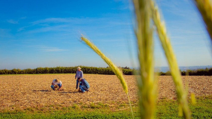 Fundação Araucária levará ao Show Rural mostra de inovações para o agro do Paraná