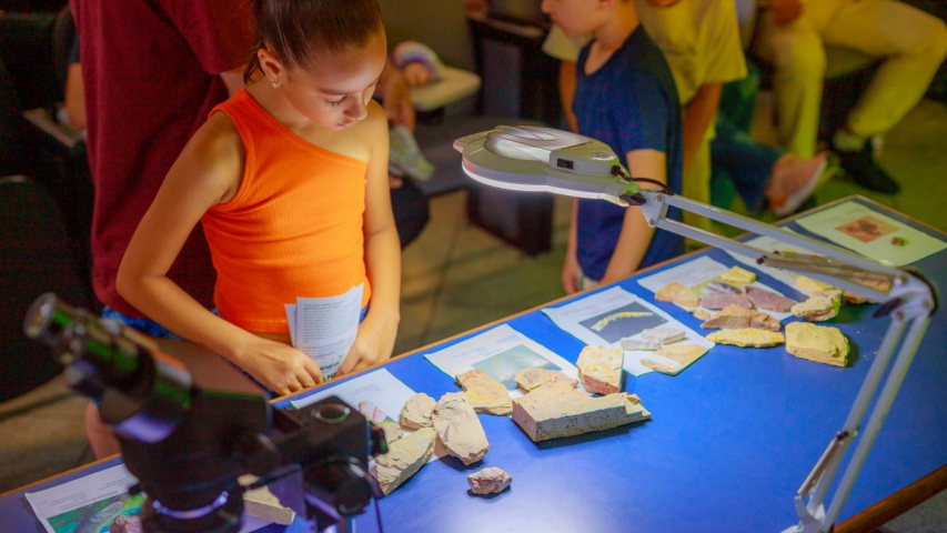 Novo acervo de fósseis fortalece a UEPG como referência na pesquisa paleontológica