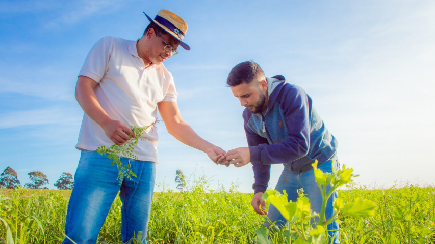 Paraná investe R$ 3,5 milhões para impulsionar pesquisa com instituições de quatro países