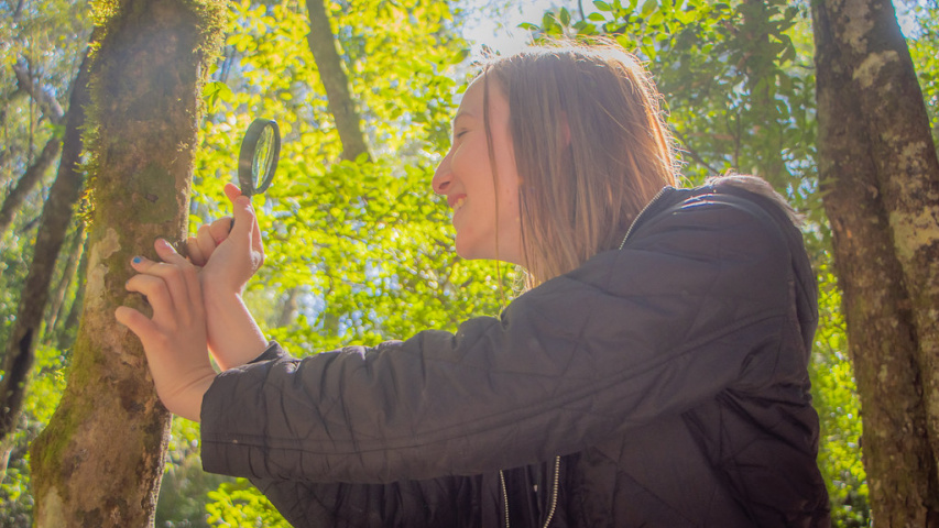 Universidades paranaenses se destacam em ranking mundial de sustentabilidade